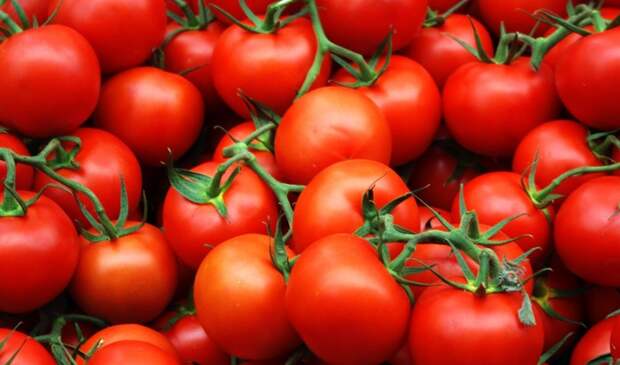 Полная чушь: помидоры признаны овощами.