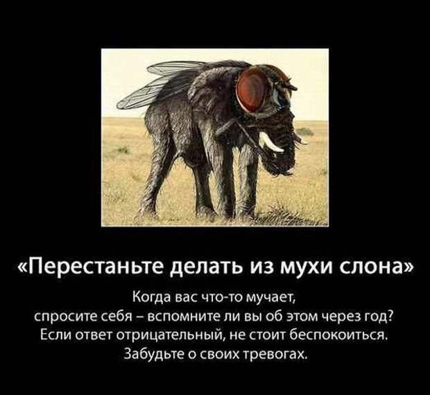Полезные советы