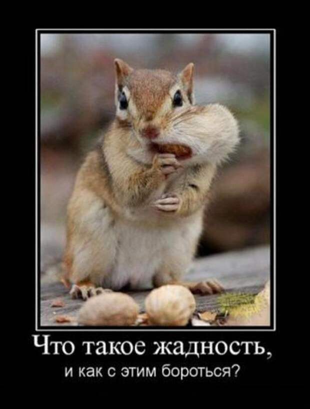 Демотиваторы со смыслом