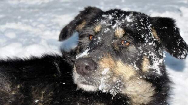 Новый год в Заводье