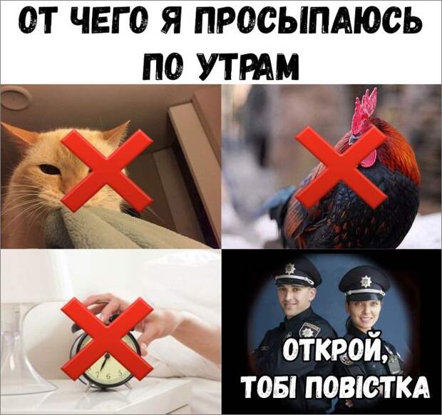 11b7a4cc117cec07c8.jpg