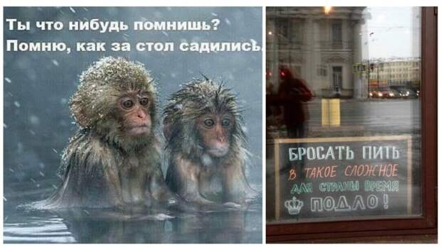 Веселые картинки, которые поднимут вам настроение!