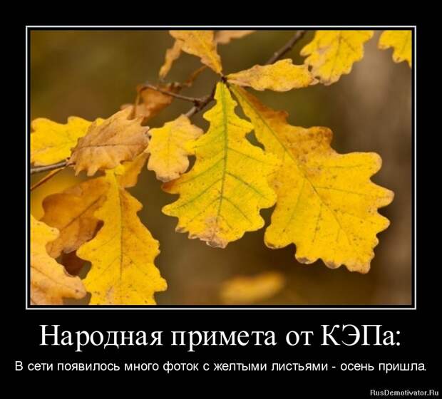 Анекдотики коротенькие, но симпатишные