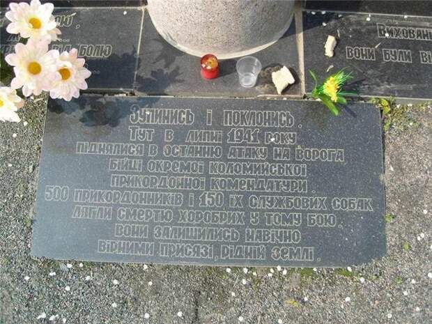 собаки во второй мировой войне