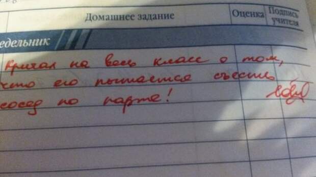 Весёлые записи в школьных тетрадках и дневниках дневник, записи