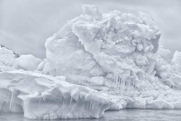 Невероятные снимки с фотоконкурса Sony World Photography Awards 2018 18
