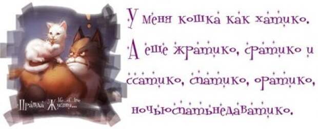 А ты хорошо провёл выходные ? А ты хорошо провёл выходные ?