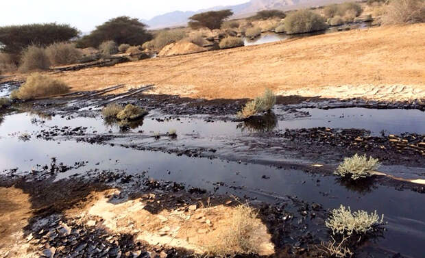 «Гениальный ход»: Страны Персидского залива хотят построить трубопроводы в обход Ормузского пролива