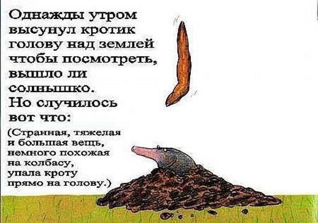 Неприятность с кротом