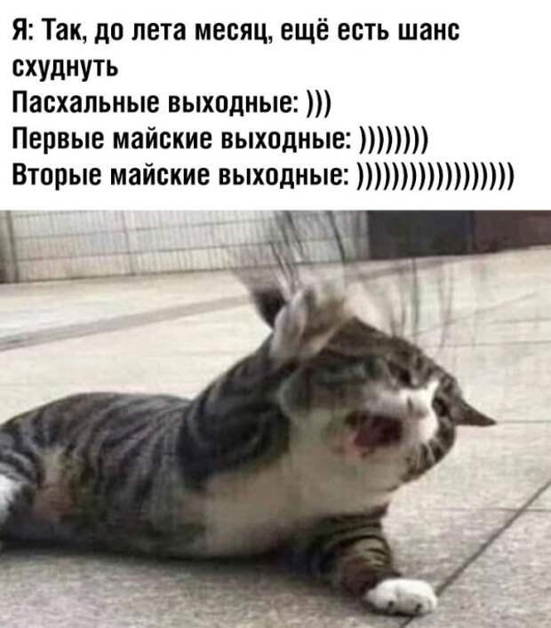 www.vsyako.net