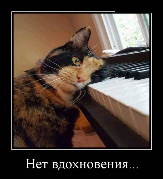Демотиваторы (30 фото)