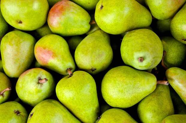 fruit-1534494_1920 alt