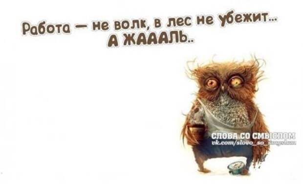 Каждая фраза как жизнь...