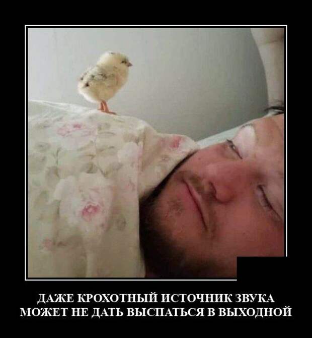 Демотиватор про звуки