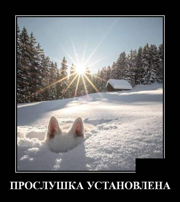 www.vsyako.net