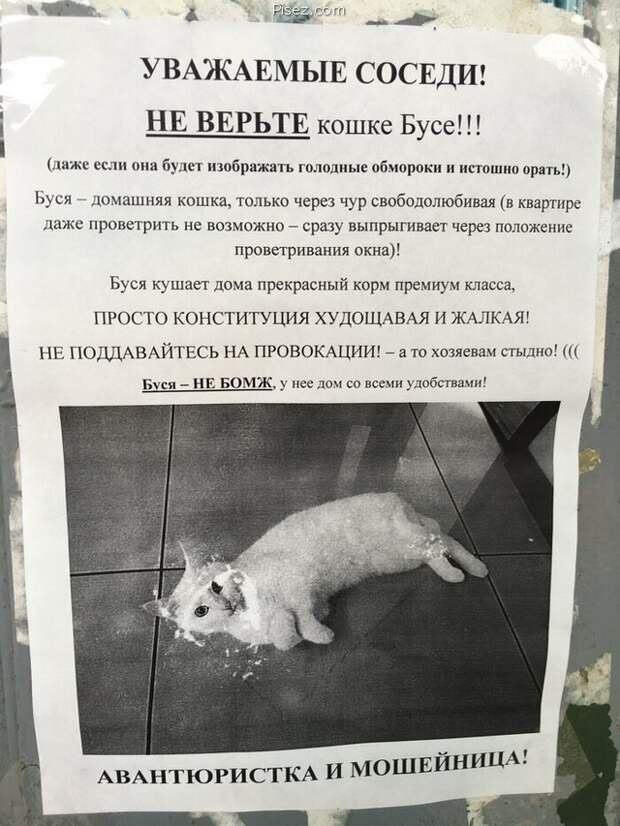 Авантюристка и мошейница!
