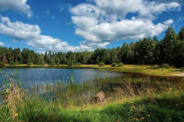 Мистическая история: Нельзя шутить с водной стихией