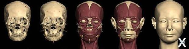 Лицо "инопланетянки" воссоздавали по ...