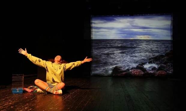 В Петербурге завершился XXVII Международный Брянцевский фестиваль детских театральных коллективов