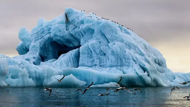 Северный флот готовит новую экспедицию в Арктику совместно с РГО