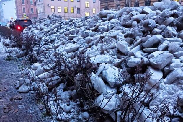 Петербуржцы публикуют фото газонов, заваленных снегом и льдом. Власти говорят, что угрозы для растений нет