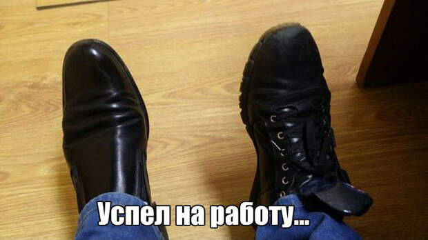 Прикольные фото на выходной! приколы, фото, юмор