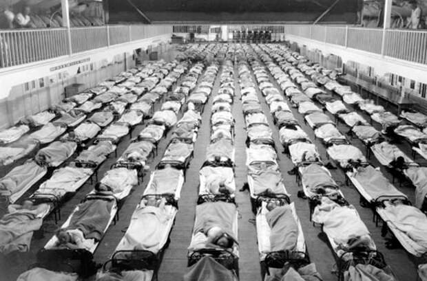 История мировых эпидемий, часть 3: грипп и туберкулёз
