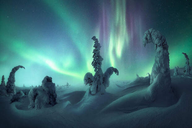 Лучшие фотографии северных сияний 2022