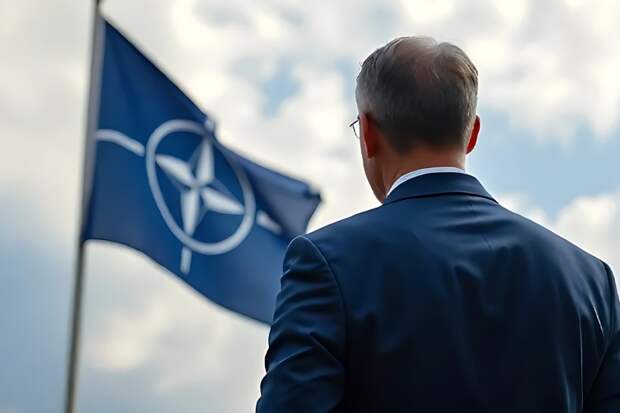 Политолог Самонкин раскрыл, почему НАТО не имеет единого лидера