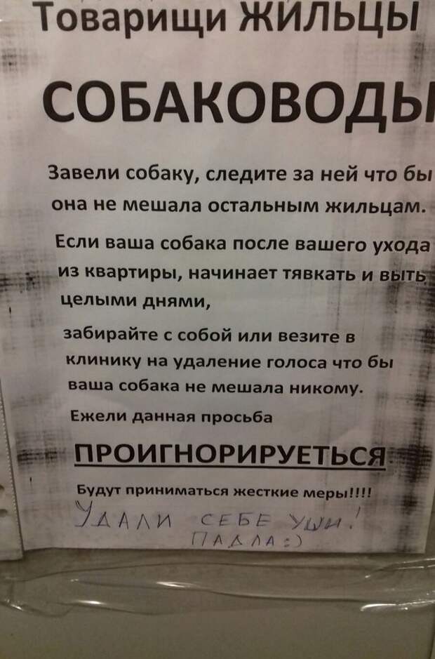 В нашем доме поселился "замечательный" сосед объявления, прикол, соседи, юмор