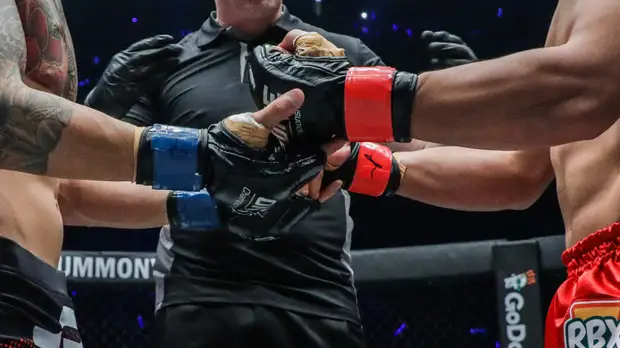 Сборная России стала абсолютным чемпионом мира по ММА