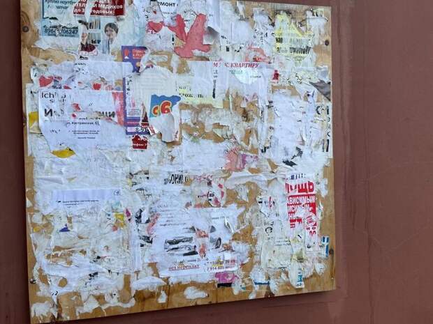 Общественники проверили места массовой незаконной расклейки объявлений в Чите