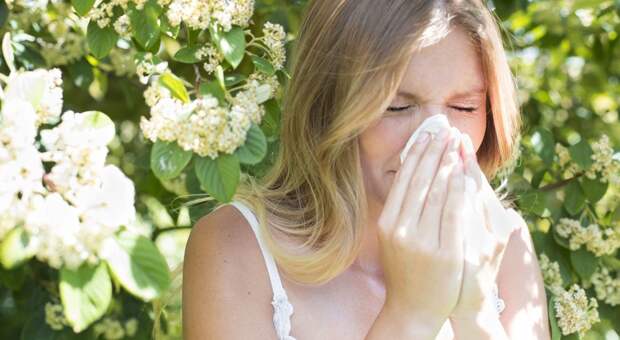 8 домашних растений, вызывающих аллергию - даже если у вас ее никогда не было