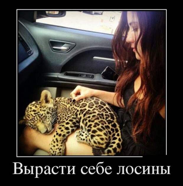Демотиваторы (30 фото)
