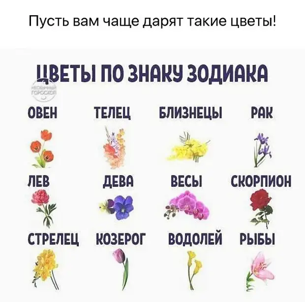 1 мая знак по гороскопу. Цветы по гороскопу. Растения по знаку зодиака. Знаки зодиака цветы. Цветочный гороскоп по знаку зодиака.