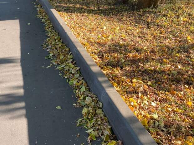 Во дворе по улице 800-летия Москвы разобрались с листвой