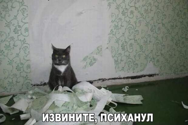 Смешные картинки из соц.сетей  картинки, комментарии, переписка, соц. сети, юмор