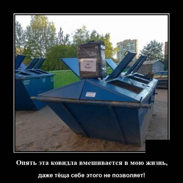 Демотиватор про тёщу