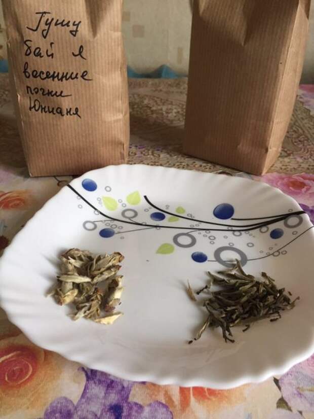 Пушистые почки и почки-иглы.
