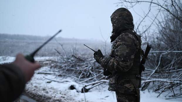 Омбудсмен Мерзлякова заявила об установлении судьбы пропавших на СВО россиян