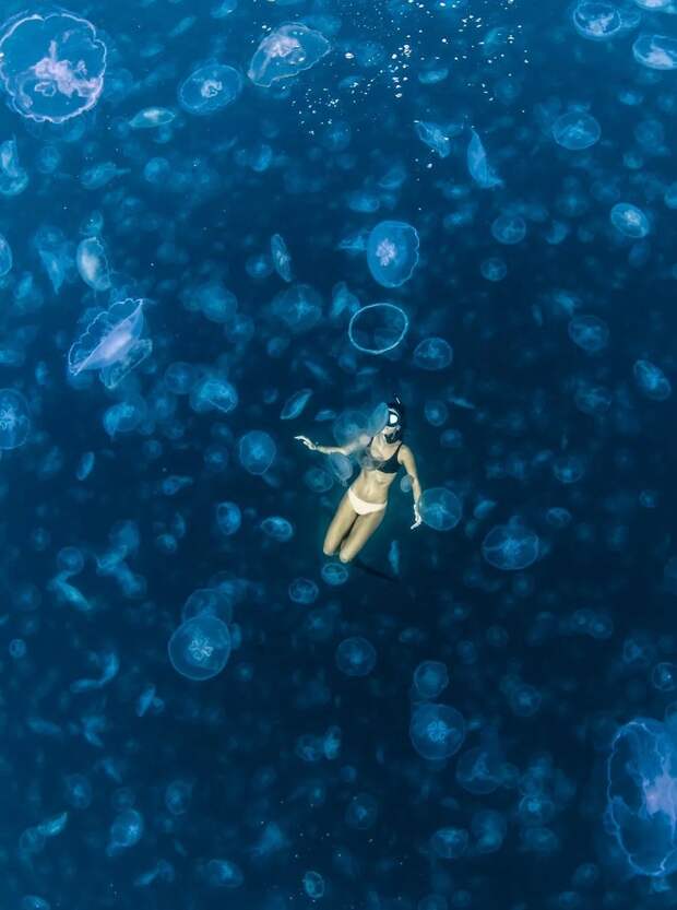 Прогулки под водой: бесстрашные фридайверы в окружении тысяч медуз