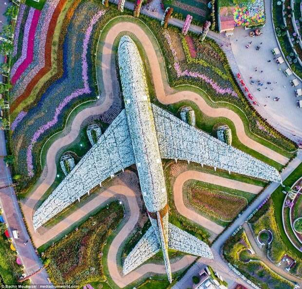 Сад чудес Dubai Miracle Garden, парк цветов в Дубае Дубай фото, аэросъемка, дрон, дубай, дубай достопримечательности, квадрокоптер, с высоты птичьего полета, снимки с дрона