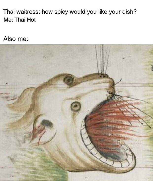 trippinthroughtime