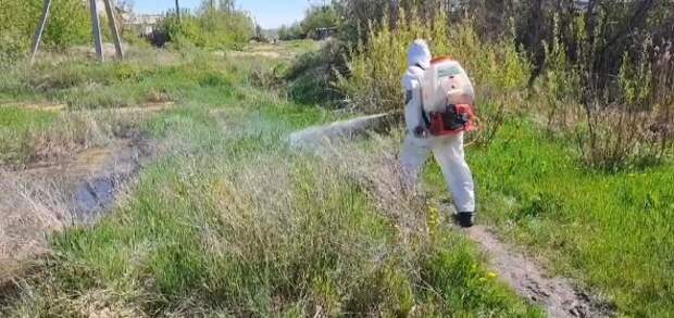 В Карагандинской области идут работы по травле комаров
