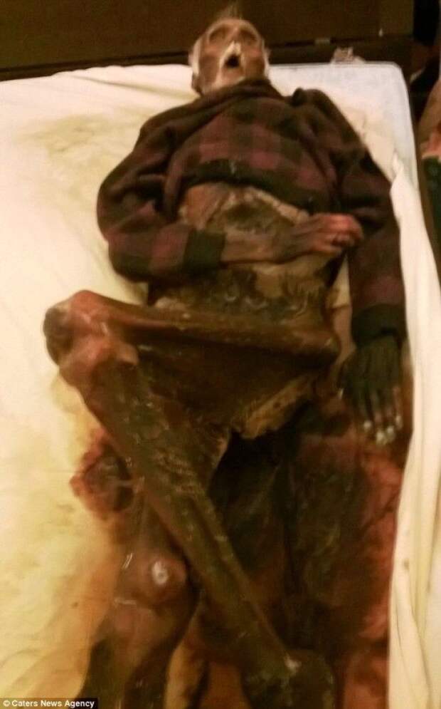 8 шокирующих историй о людях, живших с умершими L8 шокирующих историй о людях живших с умершими