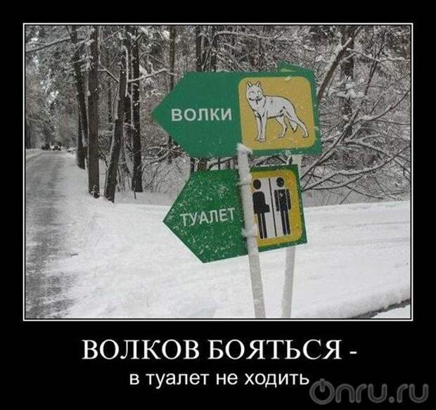 Веселые , смешные демотиваторы обо всем на свете !