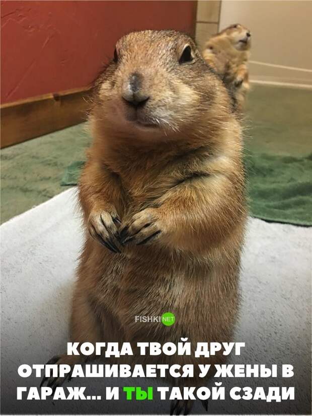 Свежая подборка автоприколов авто, автоприколы, приколы