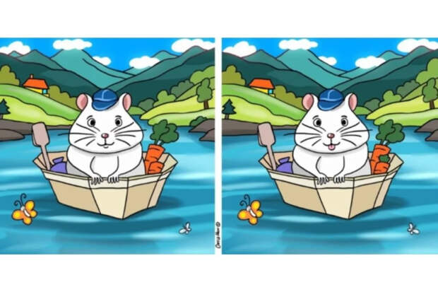 Задача на 55 секунд: найдите 10 отличий, пока хомяк не уплыл