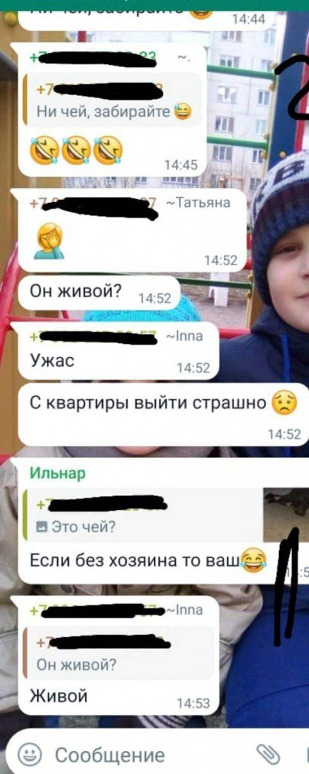 Мини история из домового чата Мини история из домового чата