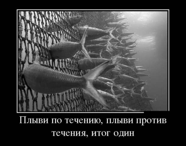 1449913973_27